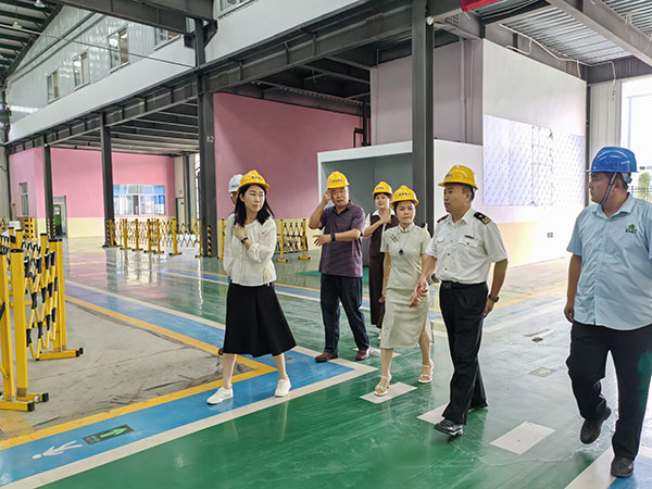 海關(guān)和貿(mào)促會(huì)領(lǐng)導(dǎo)蒞臨山東雪萊工廠參觀考察，泰安電視臺(tái)跟蹤采訪