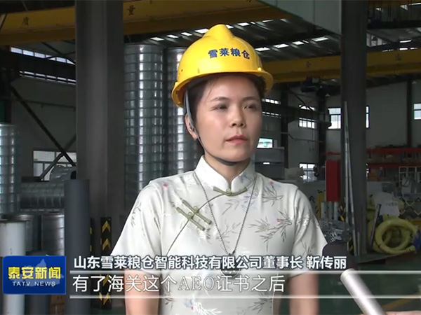 緊跟政策風(fēng)向，把握跨海之帆-雪萊將以滿腔熱情讓世界愛(ài)上中國(guó)造